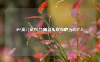 096澳门资料,特朗普版宣布胜选65.97.23