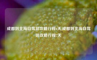 成都到北海自驾游攻略行程6天,成都到北海自驾游攻略行程7天