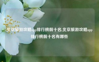 北京旅游攻略app排行榜前十名,北京旅游攻略app排行榜前十名有哪些