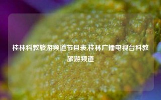 桂林科教旅游频道节目表,桂林广播电视台科教旅游频道