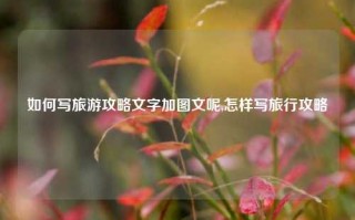 如何写旅游攻略文字加图文呢,怎样写旅行攻略