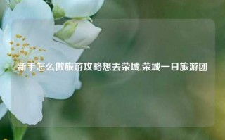 新手怎么做旅游攻略想去荣城,荣城一日旅游团