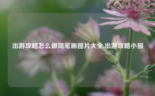 出游攻略怎么做简笔画图片大全,出游攻略小报