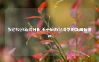 旅游经济新闻分析,关于旅游经济学的新闻有哪些