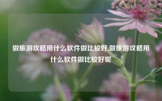 做旅游攻略用什么软件做比较好,做旅游攻略用什么软件做比较好呢