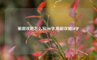 旅游攻略怎么写200字,旅游攻略50字