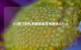 073澳门资料,特朗普版宣布胜选65.97.20