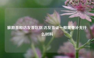 旅游签和访友签区别,访友签证一般需要补充什么材料