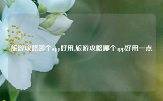 旅游攻略哪个app好用,旅游攻略哪个app好用一点