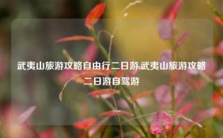 武夷山旅游攻略自由行二日游,武夷山旅游攻略二日游自驾游