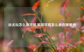 出去玩怎么查攻略,旅游攻略怎么查在哪里查