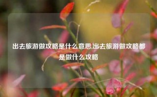 出去旅游做攻略是什么意思,出去旅游做攻略都是做什么攻略