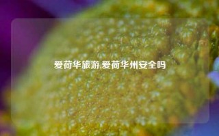 爱荷华旅游,爱荷华州安全吗