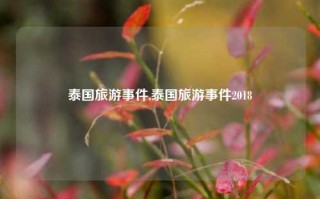 泰国旅游事件,泰国旅游事件2018