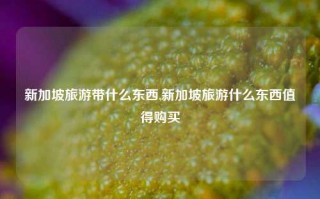 新加坡旅游带什么东西,新加坡旅游什么东西值得购买