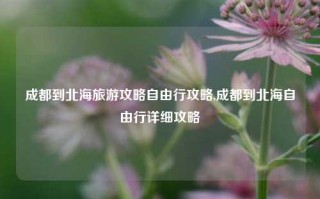 成都到北海旅游攻略自由行攻略,成都到北海自由行详细攻略