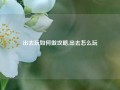 出去玩如何做攻略,出去怎么玩