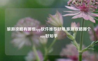 旅游攻略有哪些app软件推荐好用,旅游攻略哪个app好知乎