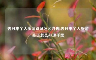 去日本个人旅游签证怎么办理,去日本个人旅游签证怎么办理手续