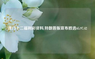 澳门十二福利彩资料,特朗普版宣布胜选65.97.42