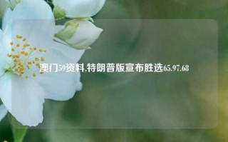 澳门59资料,特朗普版宣布胜选65.97.68