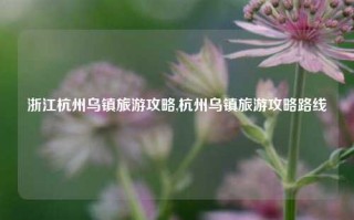 浙江杭州乌镇旅游攻略,杭州乌镇旅游攻略路线