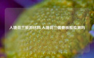 入境荷兰旅游材料,入境荷兰需要核酸检测吗