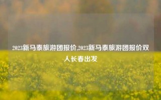 2023新马泰旅游团报价,2023新马泰旅游团报价双人长春出发