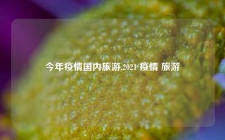 今年疫情国内旅游,2021 疫情 旅游