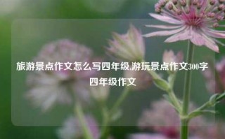 旅游景点作文怎么写四年级,游玩景点作文300字四年级作文