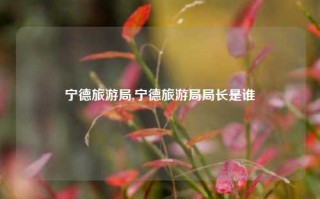 宁德旅游局,宁德旅游局局长是谁