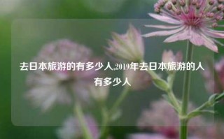 去日本旅游的有多少人,2019年去日本旅游的人有多少人