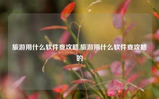 旅游用什么软件查攻略,旅游用什么软件查攻略的