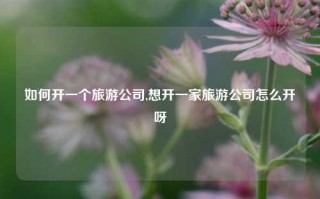 如何开一个旅游公司,想开一家旅游公司怎么开呀