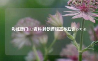 彩虹澳门10.7资料,特朗普版宣布胜选65.97.44