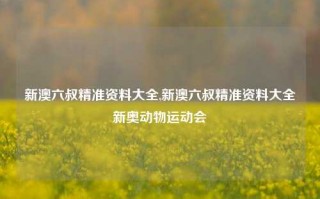 新澳六叔精准资料大全,新澳六叔精准资料大全新奥动物运动会