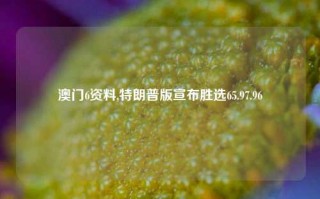 澳门6资料,特朗普版宣布胜选65.97.96