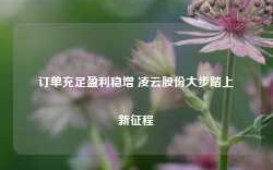 订单充足盈利稳增 凌云股份大步踏上新征程