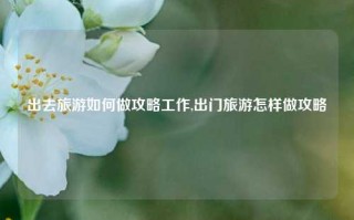 出去旅游如何做攻略工作,出门旅游怎样做攻略