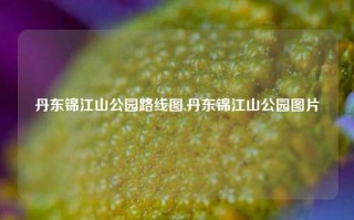 丹东锦江山公园路线图,丹东锦江山公园图片