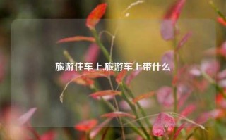 旅游住车上,旅游车上带什么