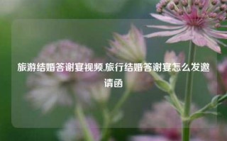 旅游结婚答谢宴视频,旅行结婚答谢宴怎么发邀请函