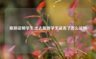 旅游证明学生,出去旅游学生证丢了怎么证明