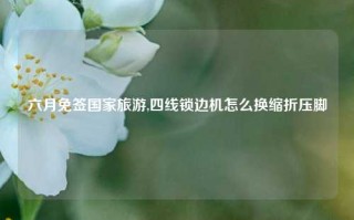 六月免签国家旅游,四线锁边机怎么换缩折压脚