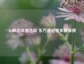 5G概念早盘活跃 东方通信等多股涨停