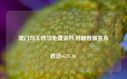 澳门马王特马免费资料,特朗普版宣布胜选65.97.16