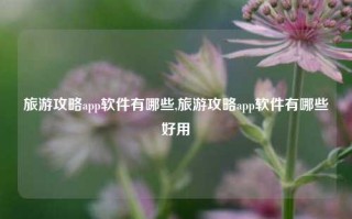 旅游攻略app软件有哪些,旅游攻略app软件有哪些好用