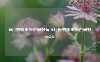 10月去哪里旅游最好玩,10月份去哪里旅游最好玩3天