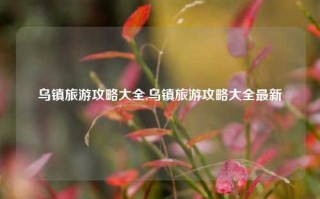 乌镇旅游攻略大全,乌镇旅游攻略大全最新