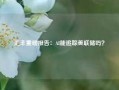 汇丰重磅报告：AI能追踪美联储吗？